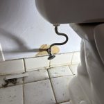 Job photo thumbnail
